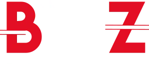 BMZ Projekt